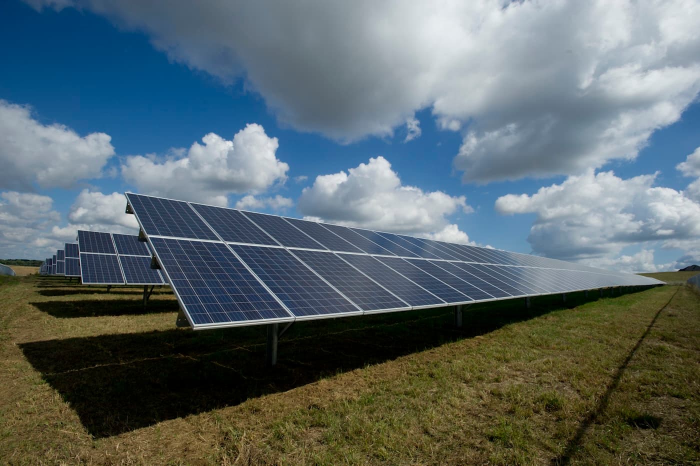 Environmental stewardship