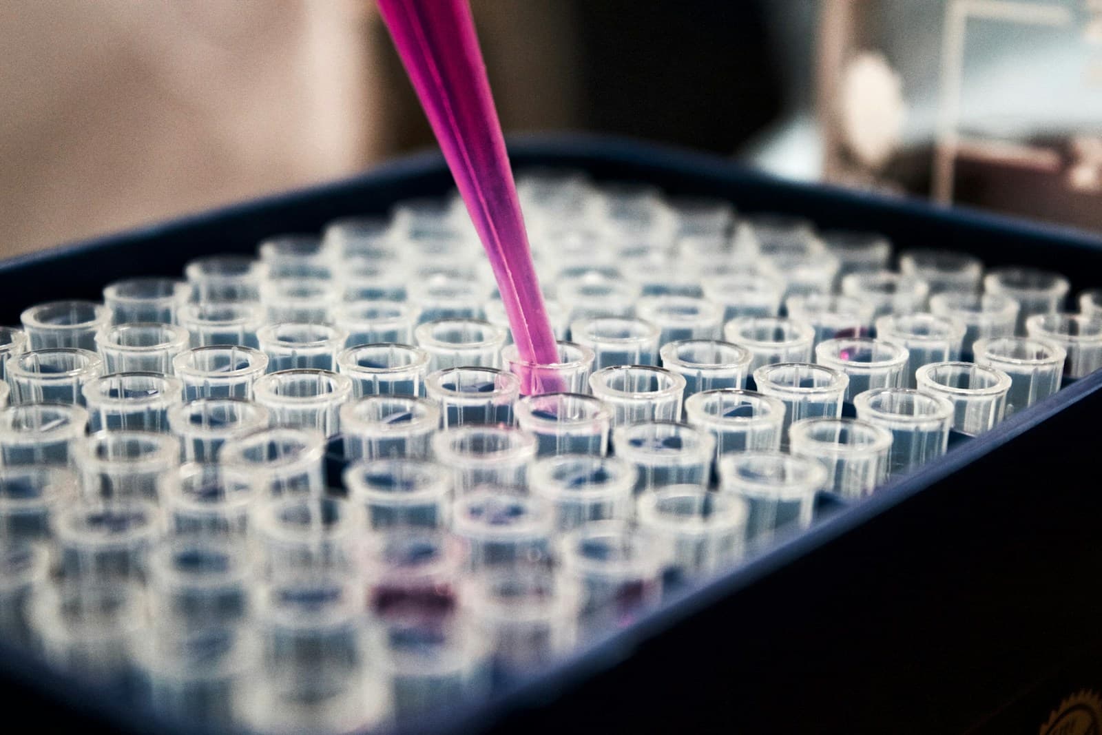 Assay & Testing